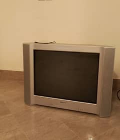 Television