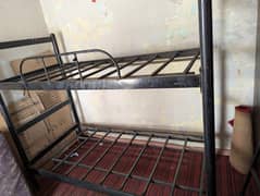 Bunk