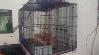 Cage far sale
