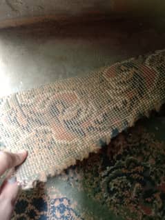 beautiful prin heavy carpet