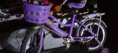 Kids Girls Bicycle
