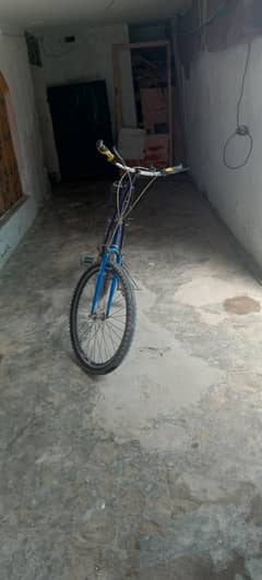 Phonix and Sport Cycles