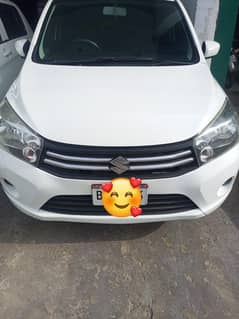 2019 Model Cultus Vxl