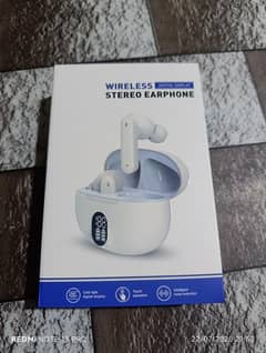 Stereo Earphones