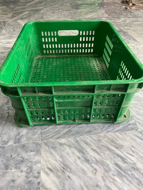 Plastic Shells Baskets 2