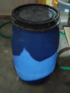 Pani