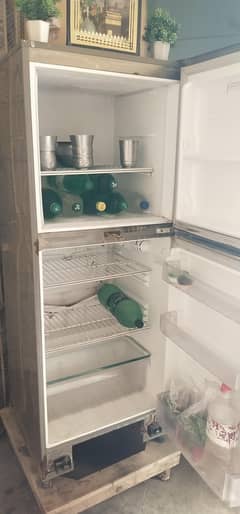 Pel Fridge