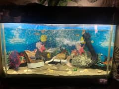 trianglar aquarium with all accessories+ fish