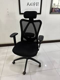 Executive Office Chairs