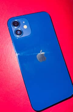 iPhone 12