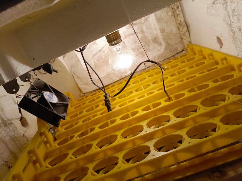Automatic Incubator and Brooder 0