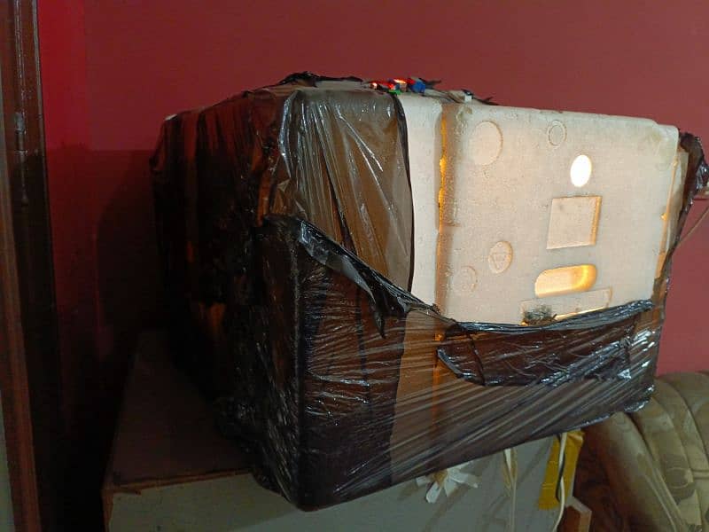 Automatic Incubator and Brooder 6