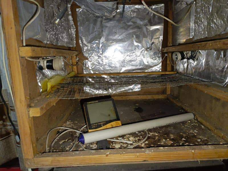 Automatic Incubator and Brooder 12