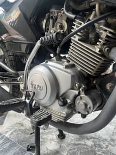 Yamaha