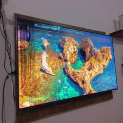 Samsung QLED 55 inch + One connect box | Broken screen, BUT WORKING