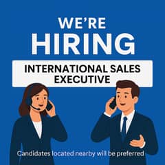 International Sales Executive