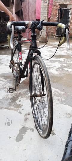 biclyceil