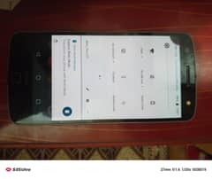 Motorola