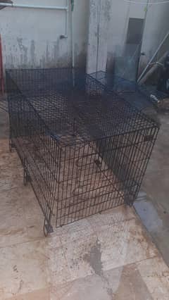 Master cage for macaw grey raw hens and birds