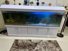 Fish Aquarium & Drawer