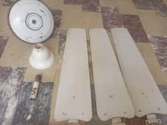 ceiling fan