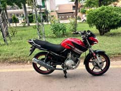yamaha