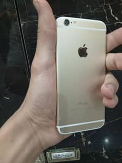 iPhone 6