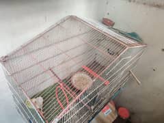 cage 1/5 by 3