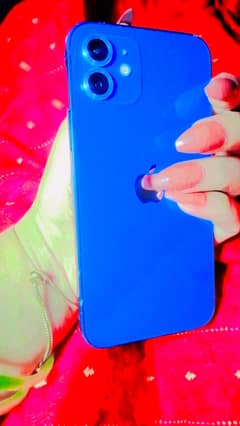 iPhone 12