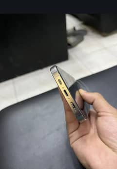 13 pro pta duel approved