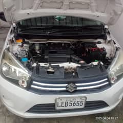 cultus car for sale