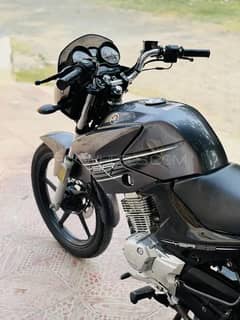 YAMAHA YBR Japanese