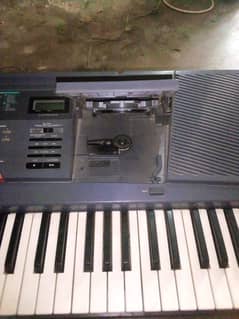 casio