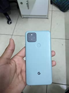 pixel 5 panel dead