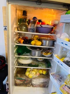 Haier Double Door Refrigerator | Spacious & Working Perfectly