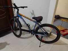 Roxy adult bicycle