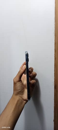 12 pro max