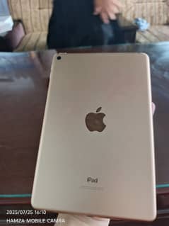 ipad mini 5