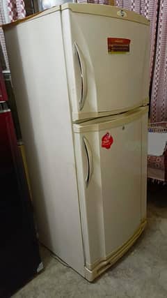 PEL Refrigerator