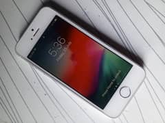 Apple iPhone 5s