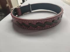 Dog collar