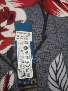 256 gb NVME ssd