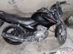 YBR