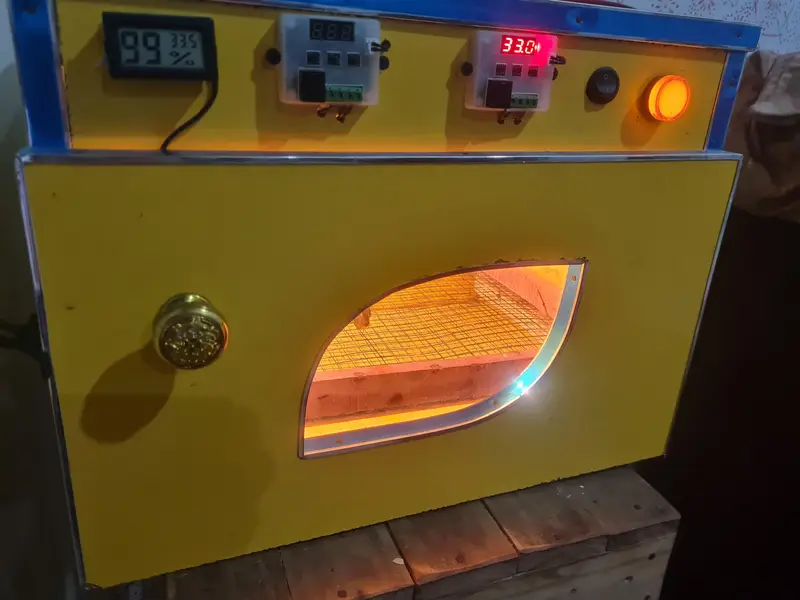 50 eggs semi automatic incubator 12v and 220v supported — photo 2
