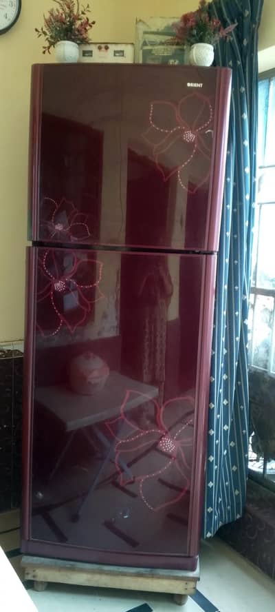 full size best fridge in used