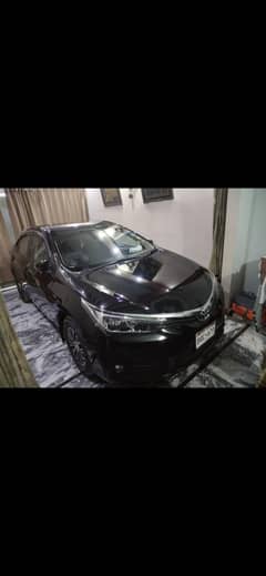 corolla
