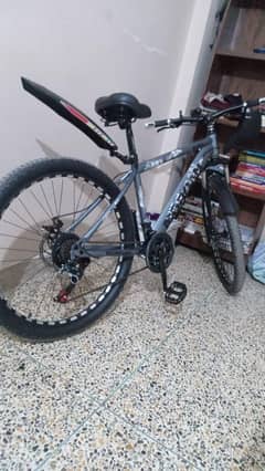 Morgan Bicycle