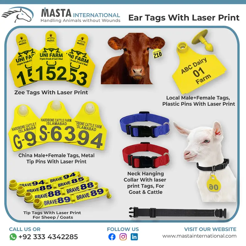 Cow Tag / Cattle Tag / Goat Tag / Ear Tag / Neck Tag / Tag for sale — photo 4
