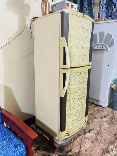 Pel Medium Size Fridge