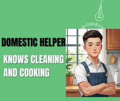 Domestic Helper